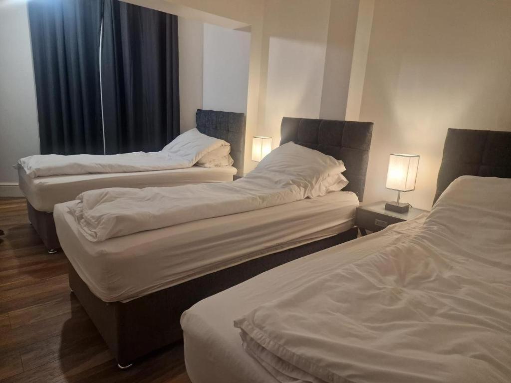 Central Suite, 3 Single Beds 布里斯托 外观 照片